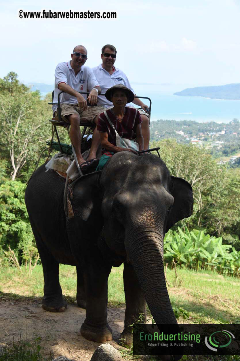 Elephant Safari 