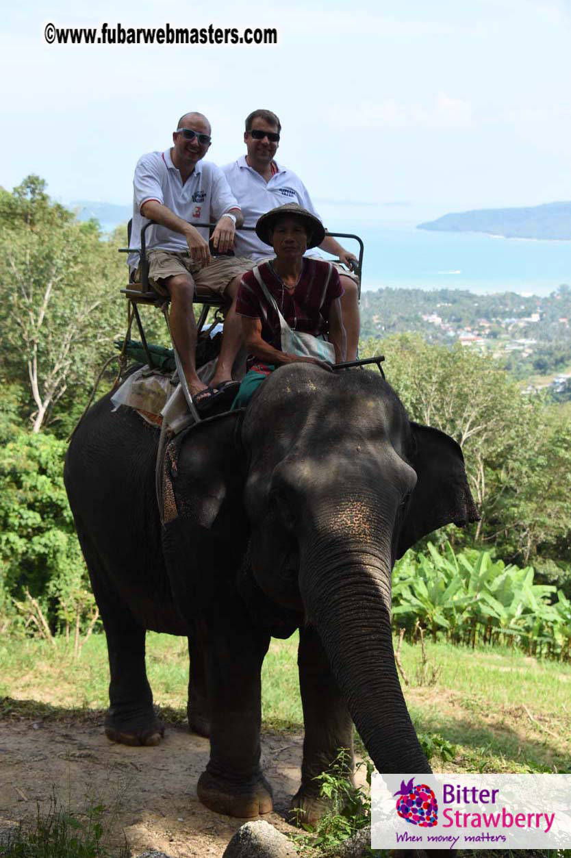 Elephant Safari 