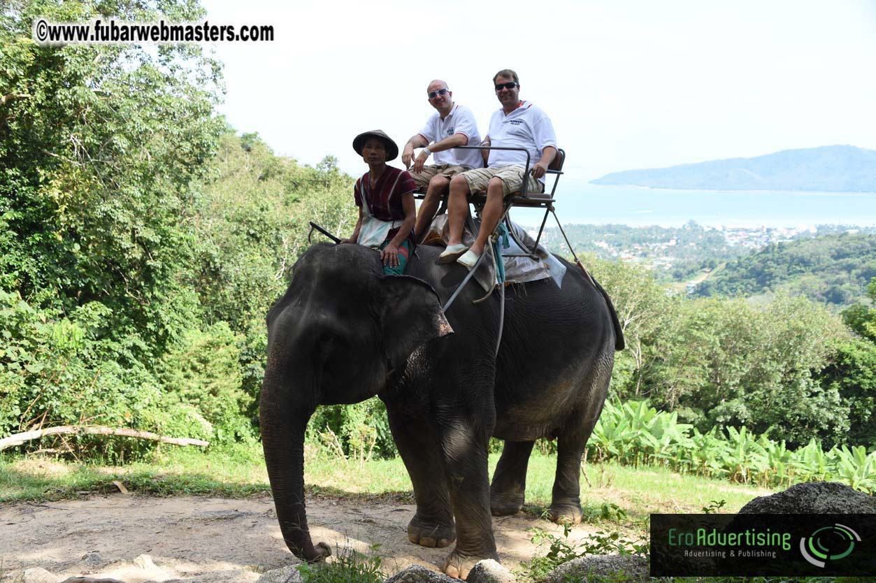 Elephant Safari 