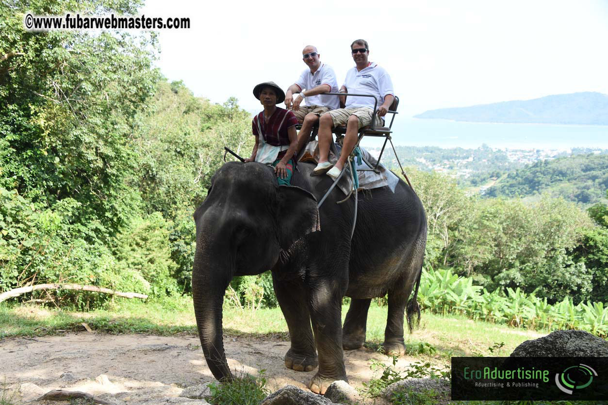 Elephant Safari 