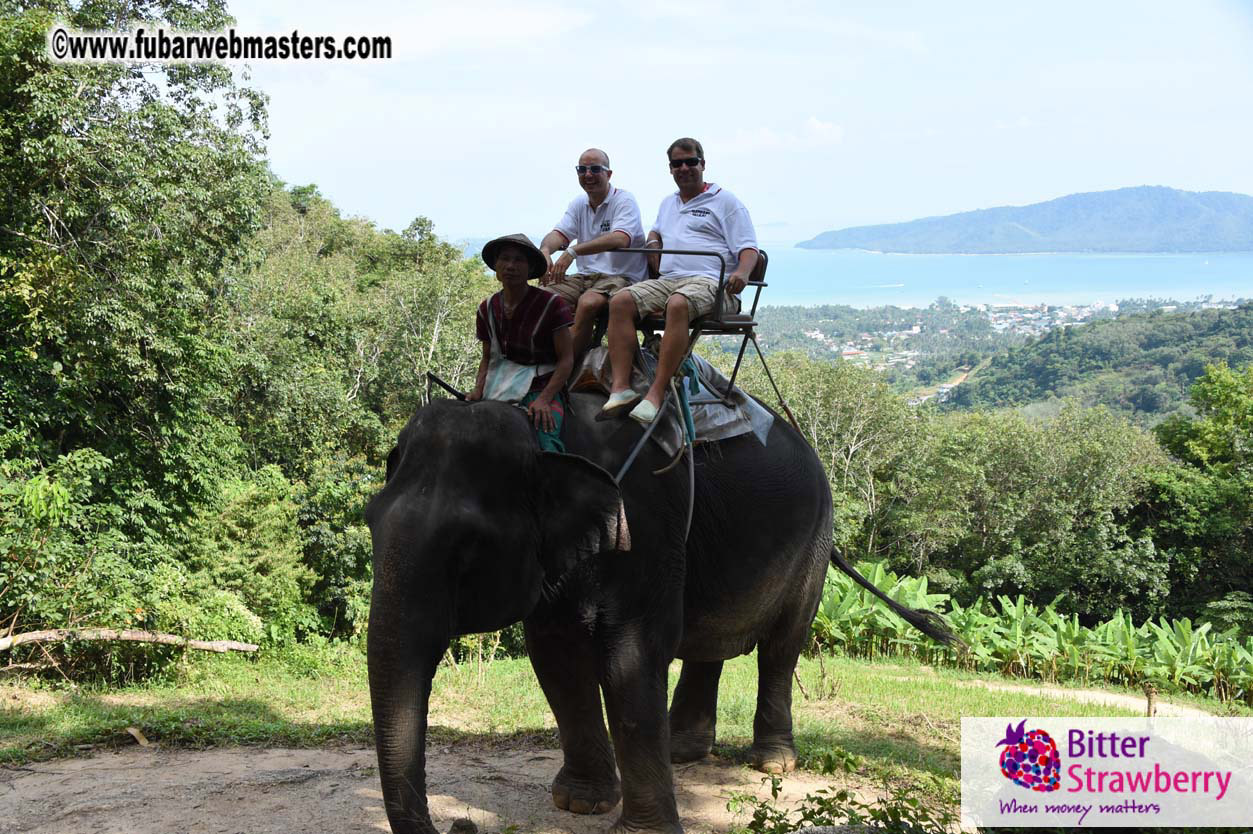 Elephant Safari 