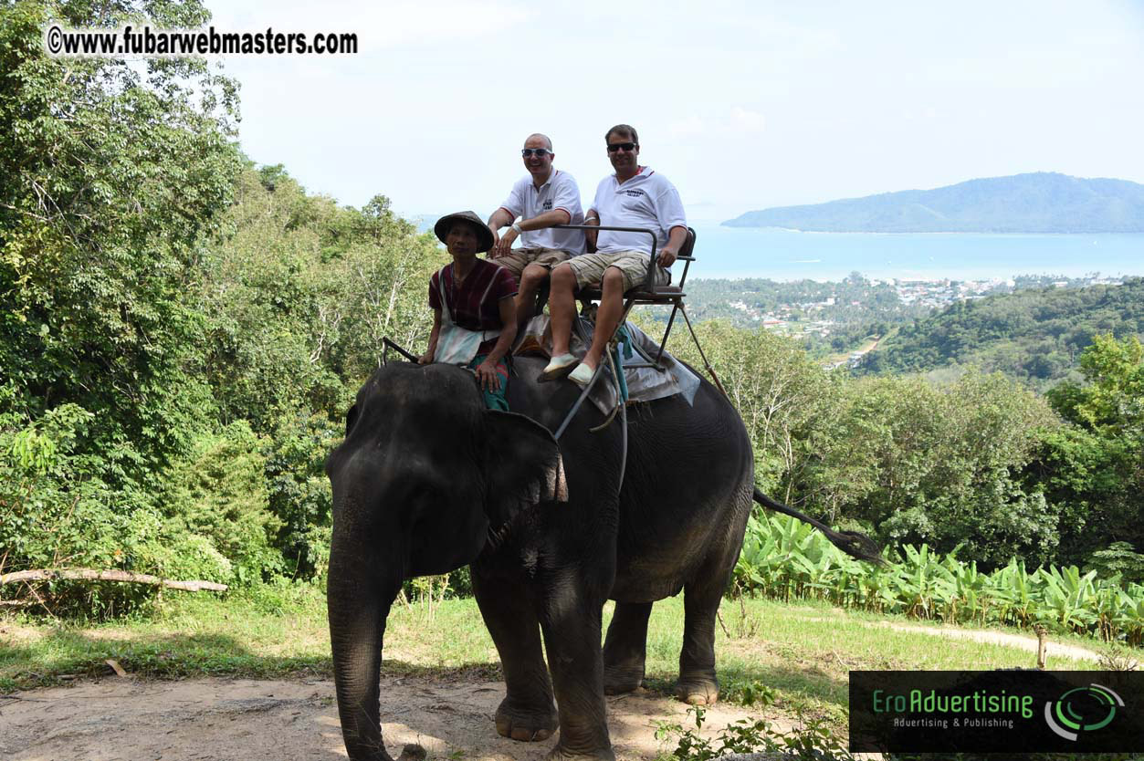 Elephant Safari 