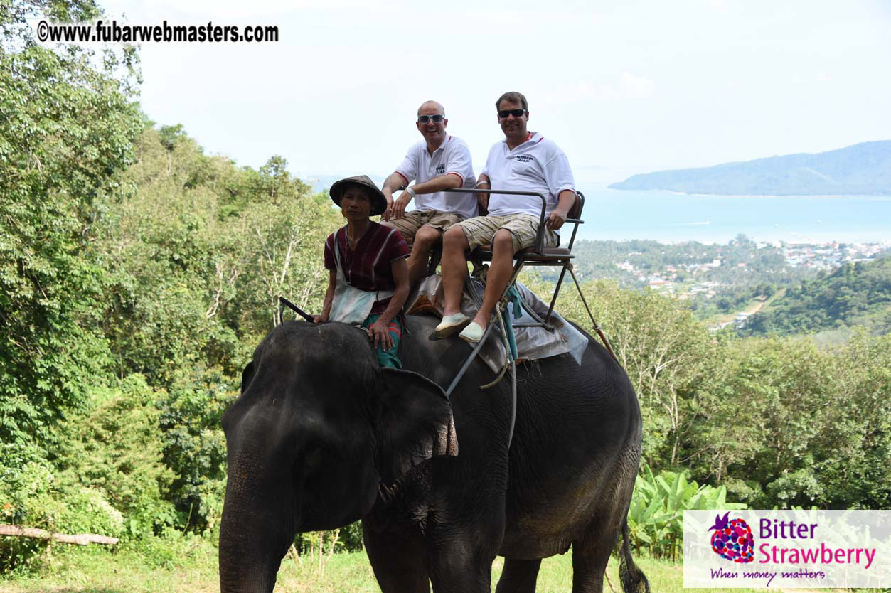 Elephant Safari 