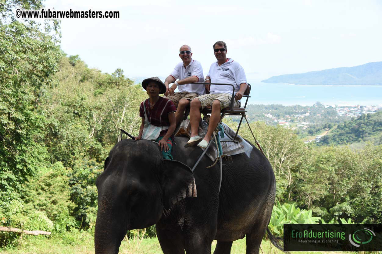 Elephant Safari 