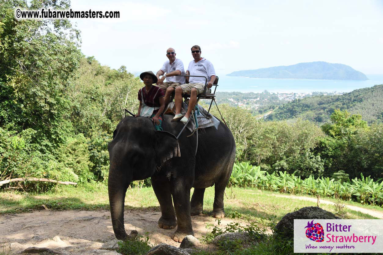 Elephant Safari 