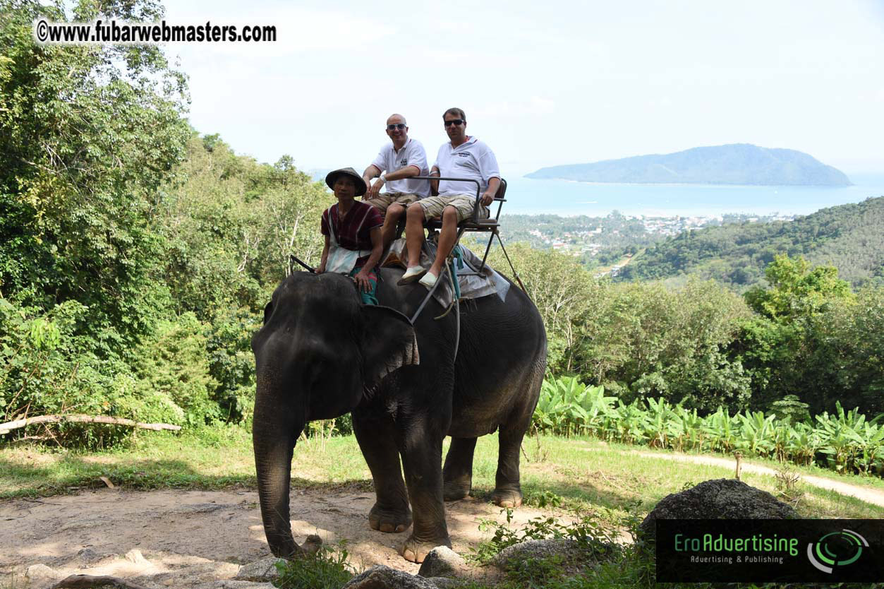 Elephant Safari 