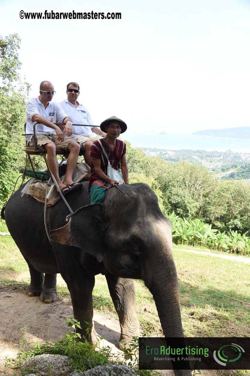 Elephant Safari 