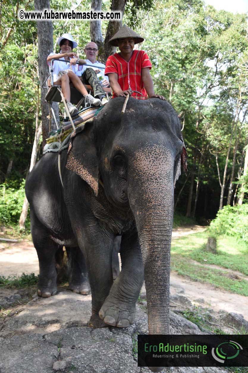 Elephant Safari 