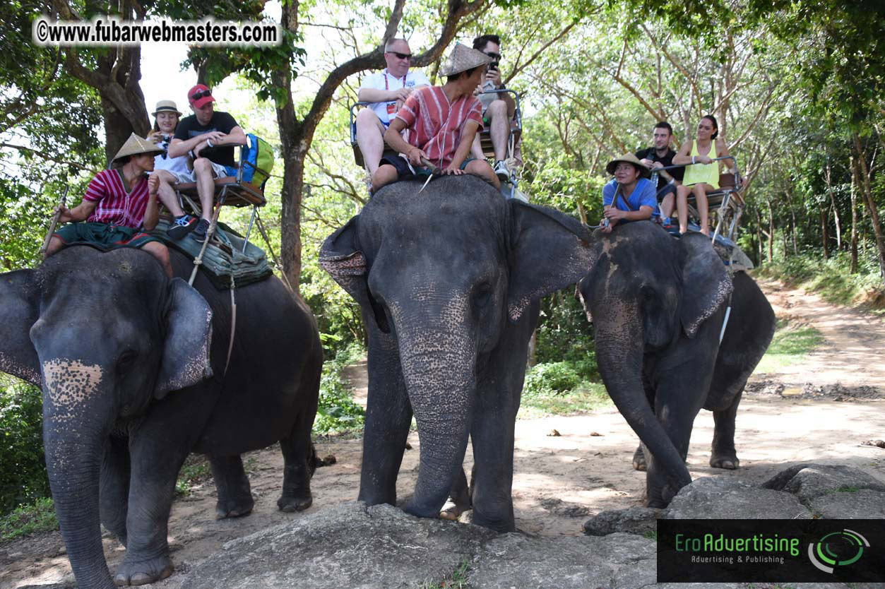 Elephant Safari 