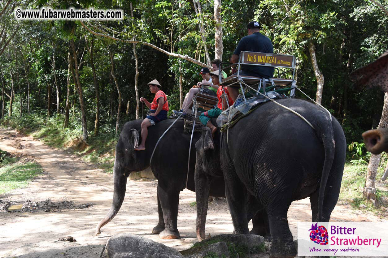 Elephant Safari 