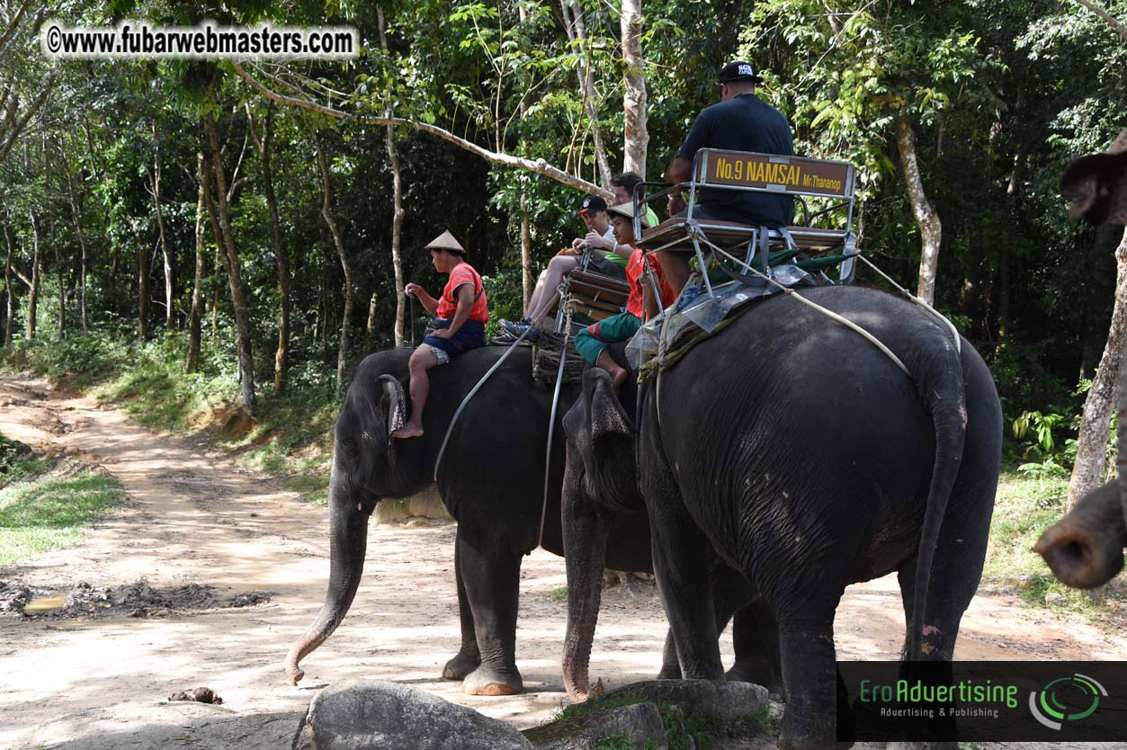 Elephant Safari 