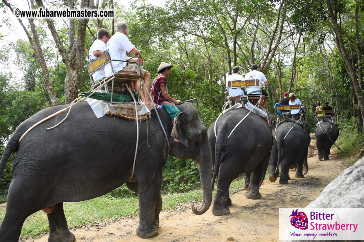 Elephant Safari 