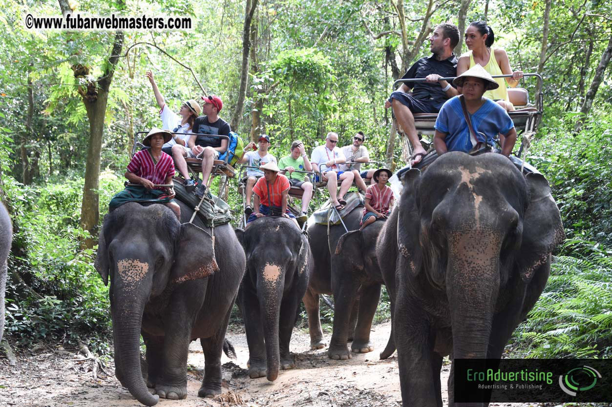 Elephant Safari 