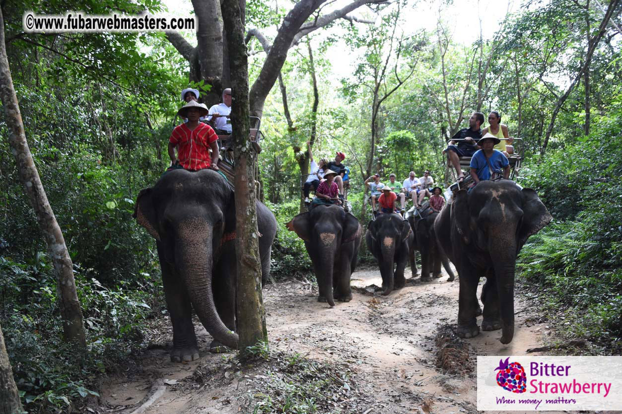 Elephant Safari 