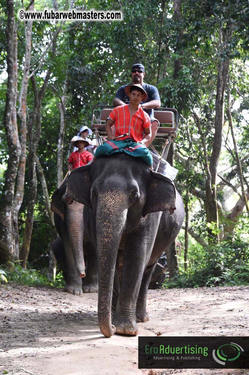 Elephant Safari 