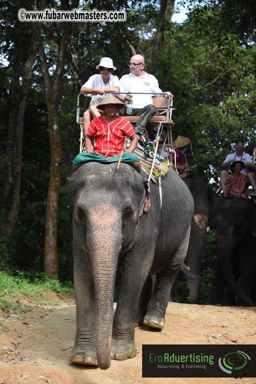 Elephant Safari 