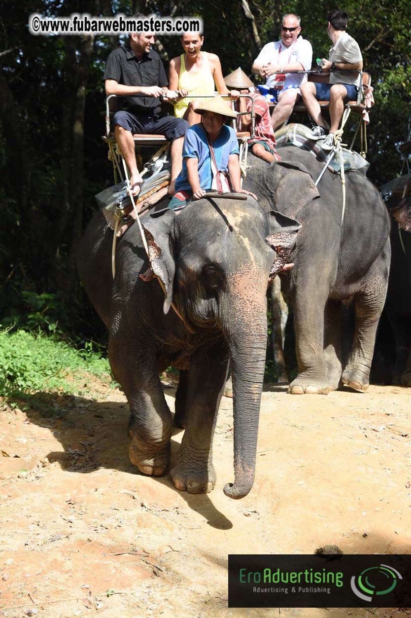 Elephant Safari 