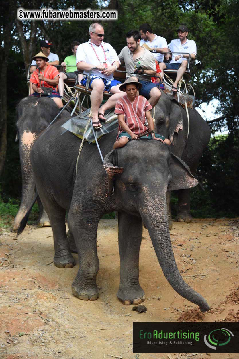 Elephant Safari 