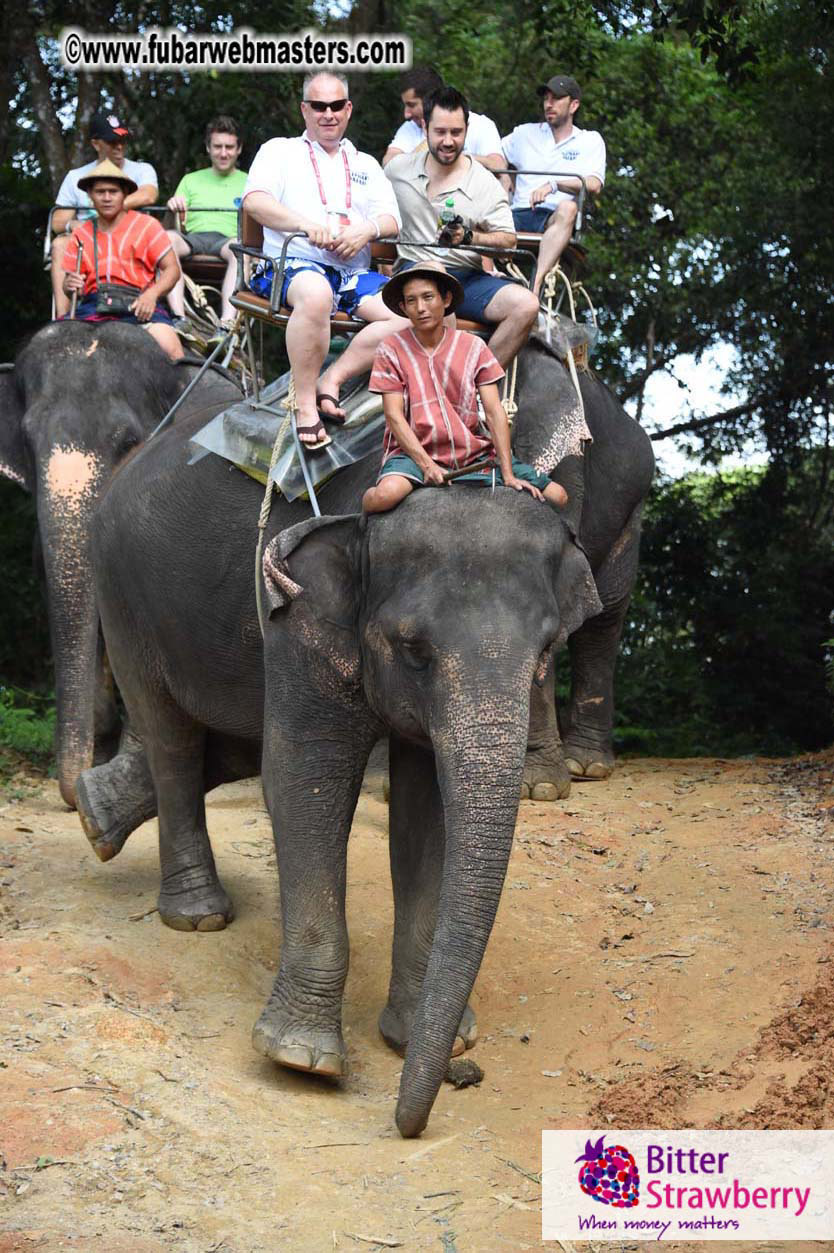 Elephant Safari 