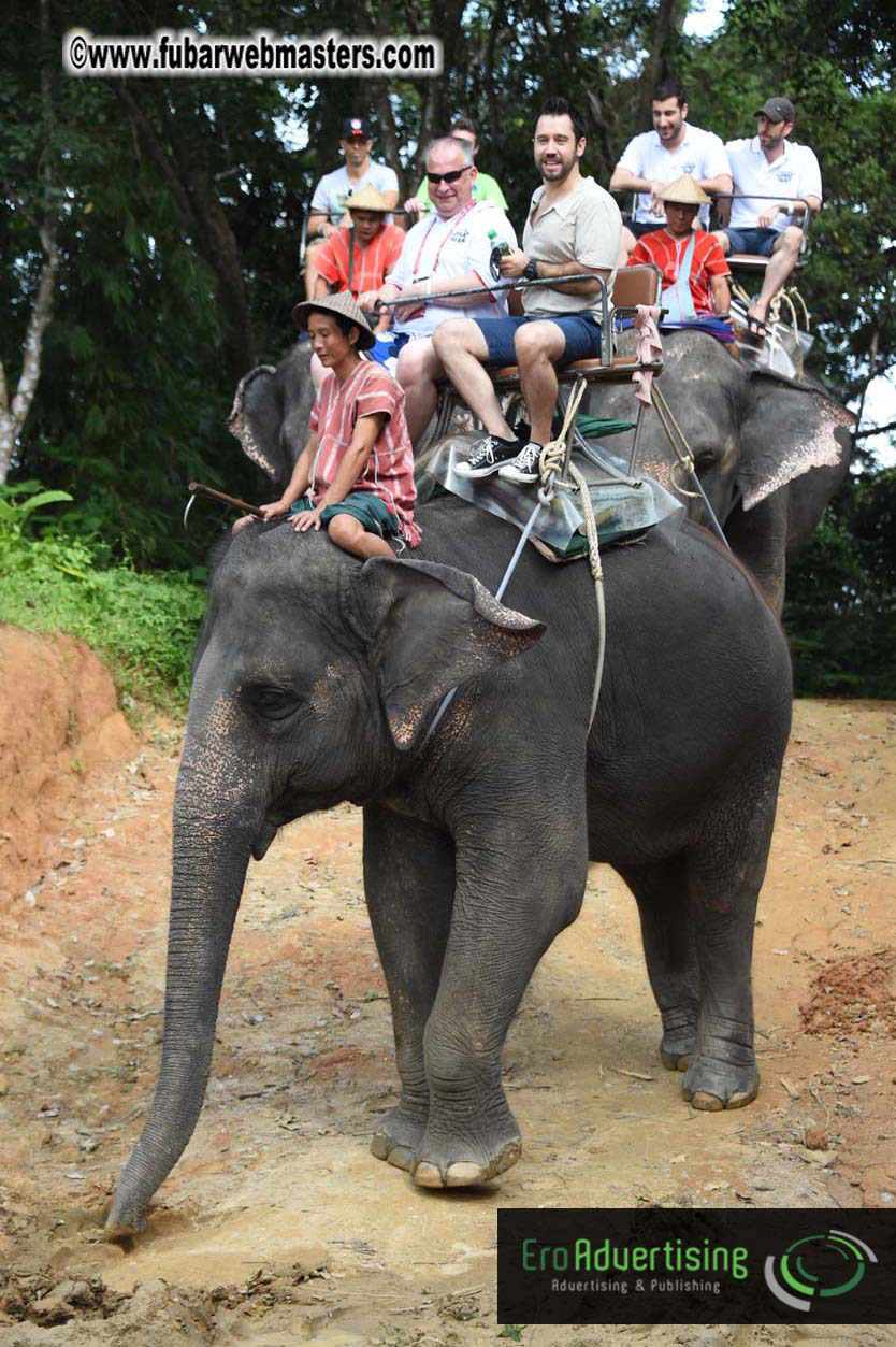 Elephant Safari 