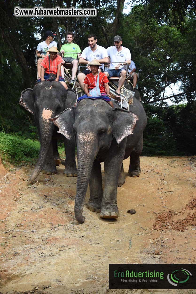 Elephant Safari 