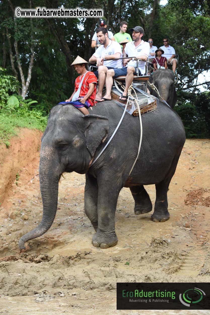 Elephant Safari 