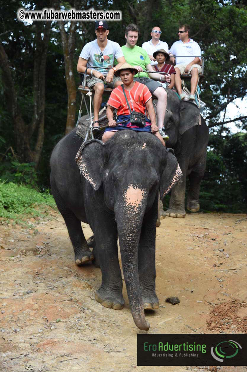 Elephant Safari 