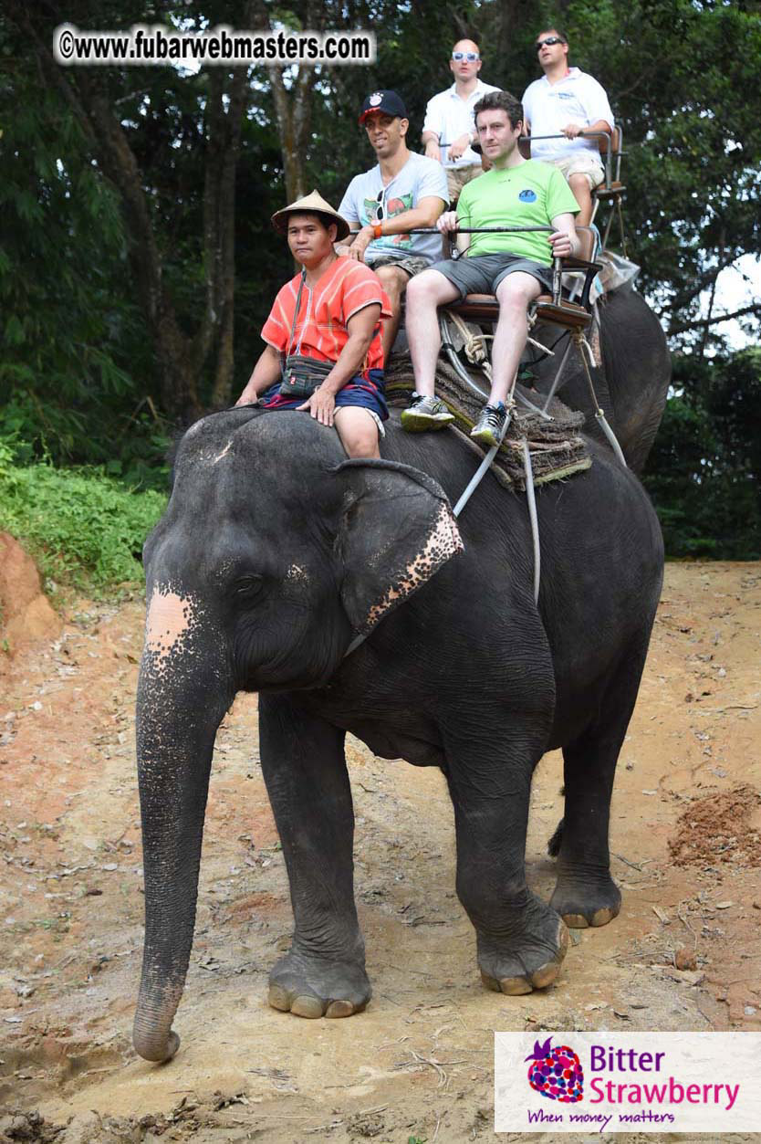 Elephant Safari 