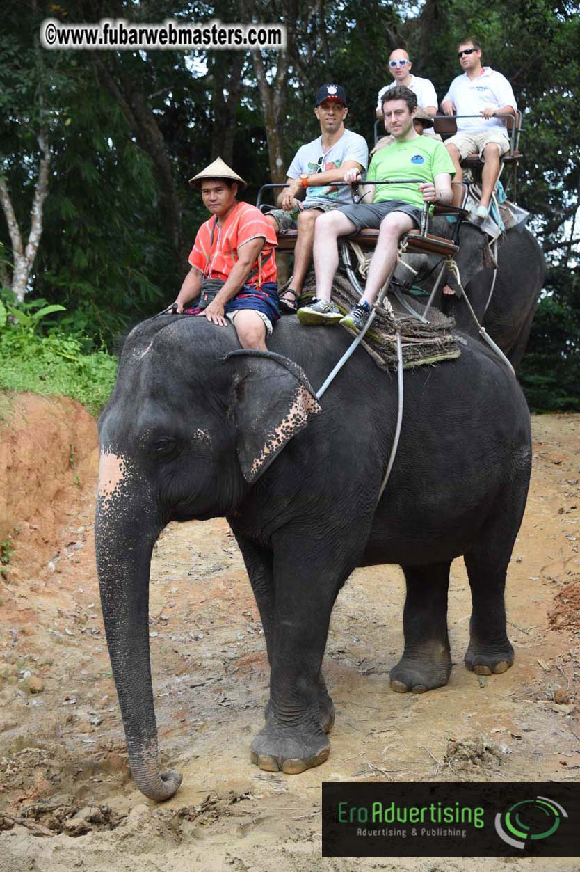 Elephant Safari 