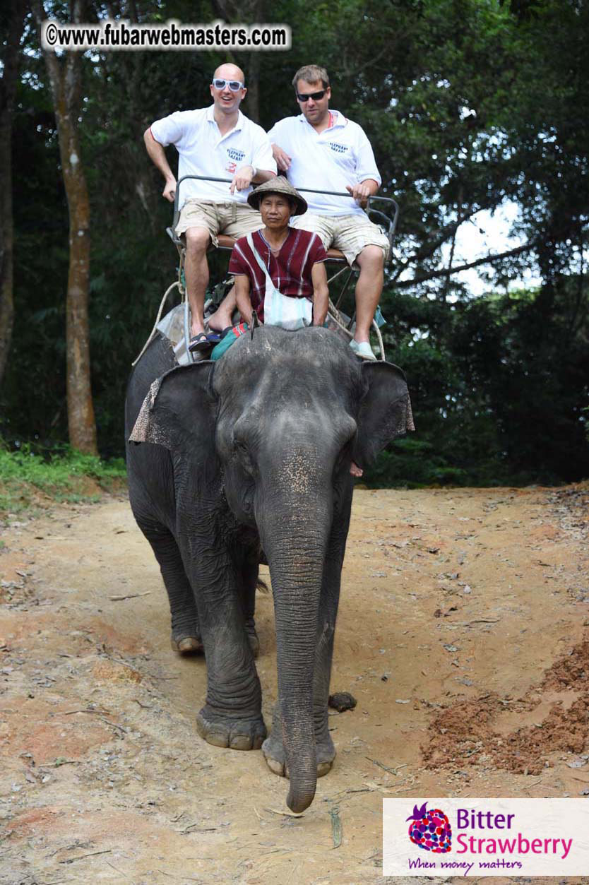 Elephant Safari 