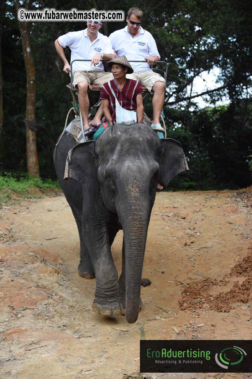 Elephant Safari 