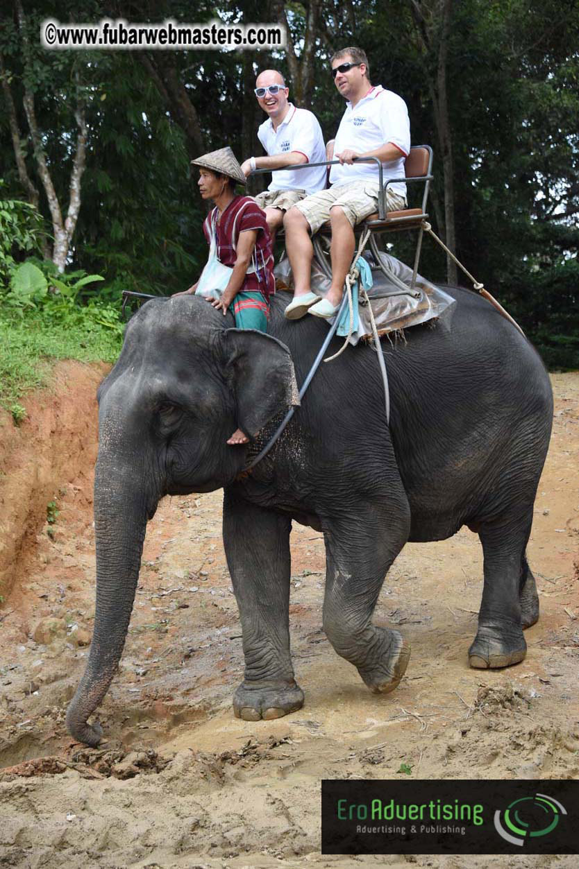 Elephant Safari 