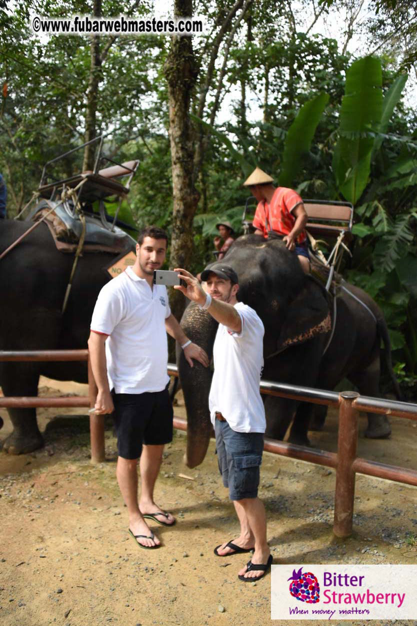 Elephant Safari 