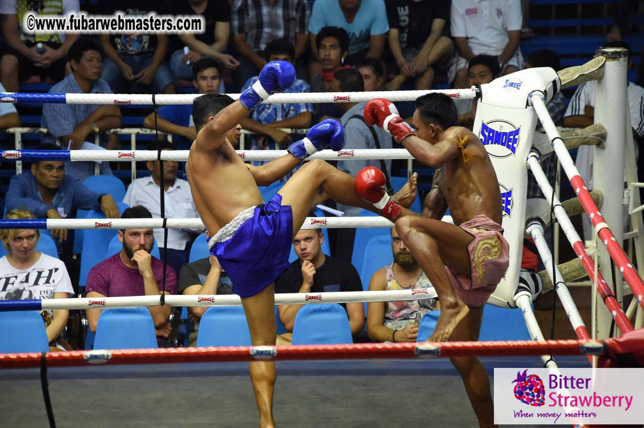 Muay Thai Boxing