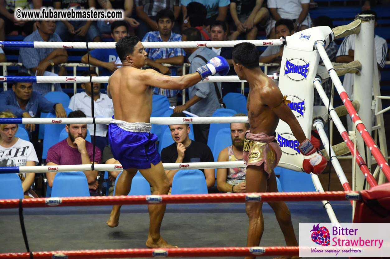 Muay Thai Boxing