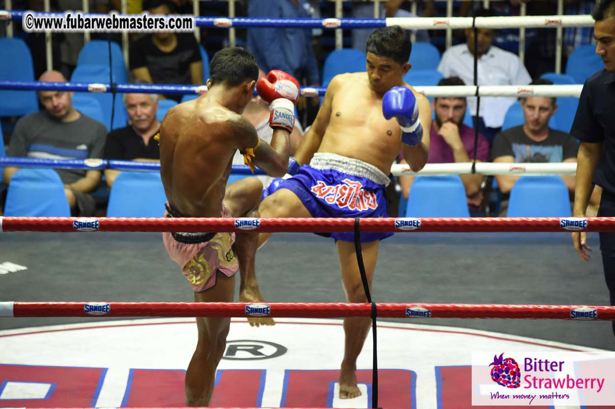 Muay Thai Boxing