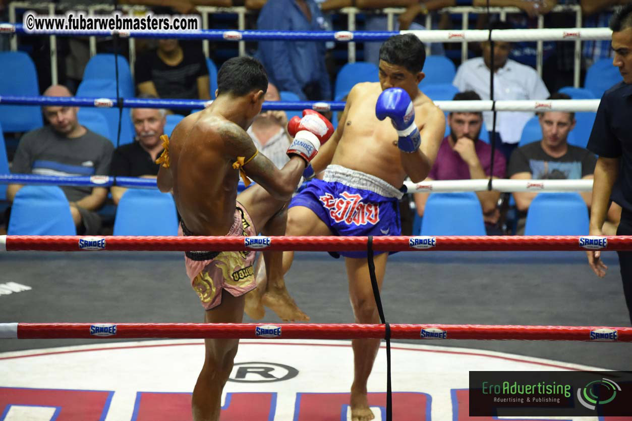 Muay Thai Boxing