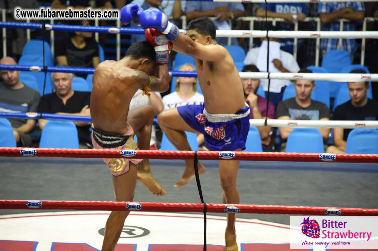 Muay Thai Boxing