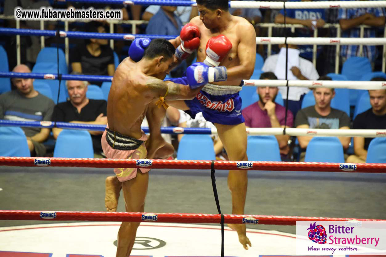 Muay Thai Boxing