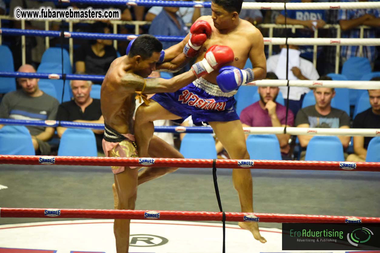 Muay Thai Boxing