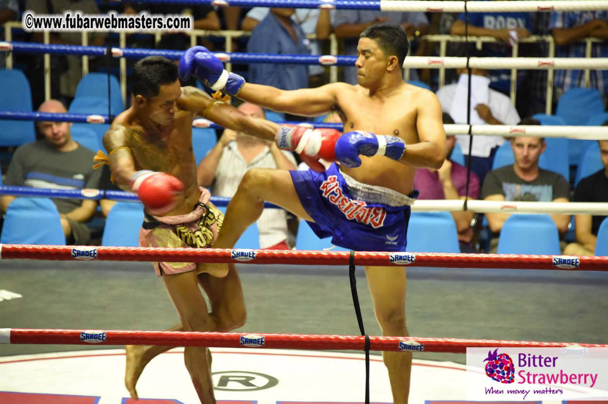 Muay Thai Boxing