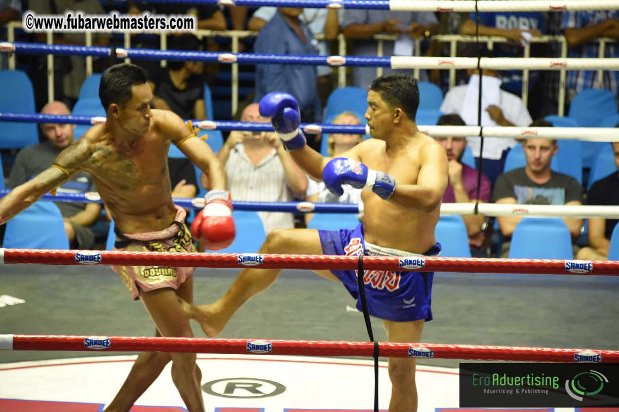 Muay Thai Boxing