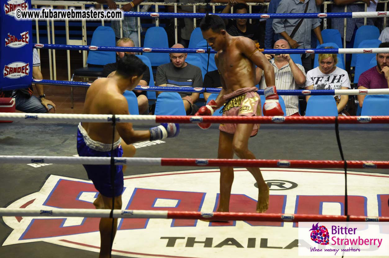 Muay Thai Boxing