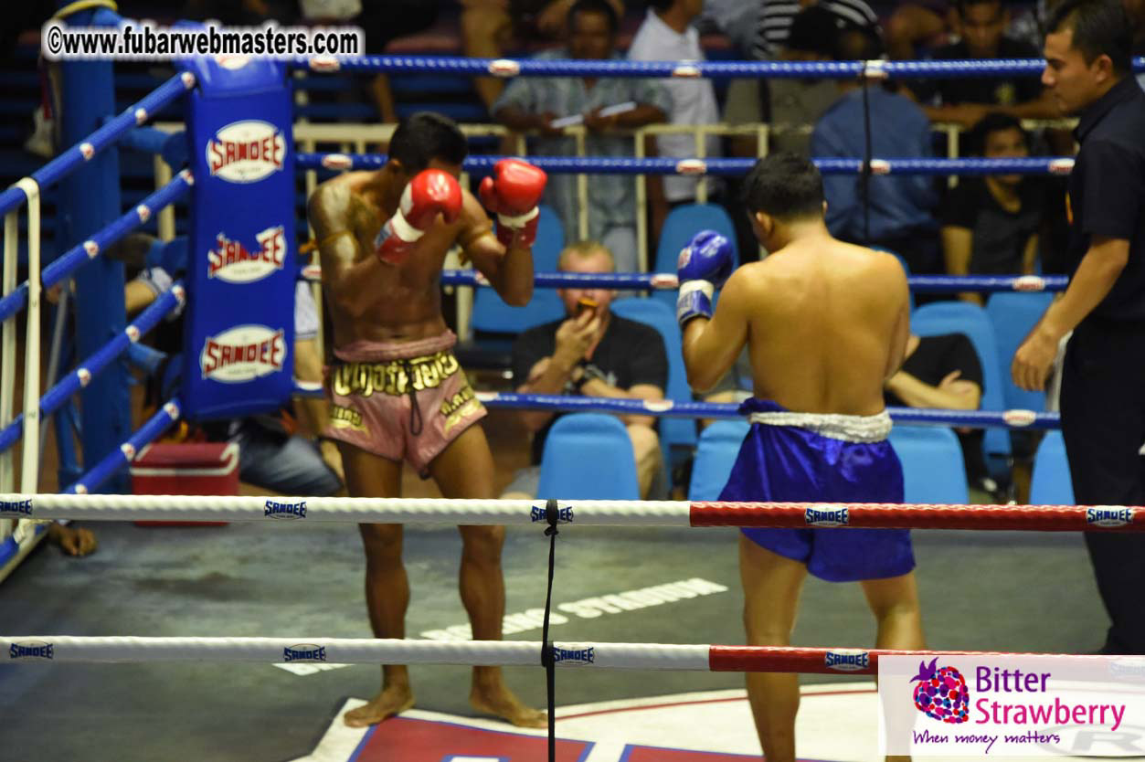 Muay Thai Boxing