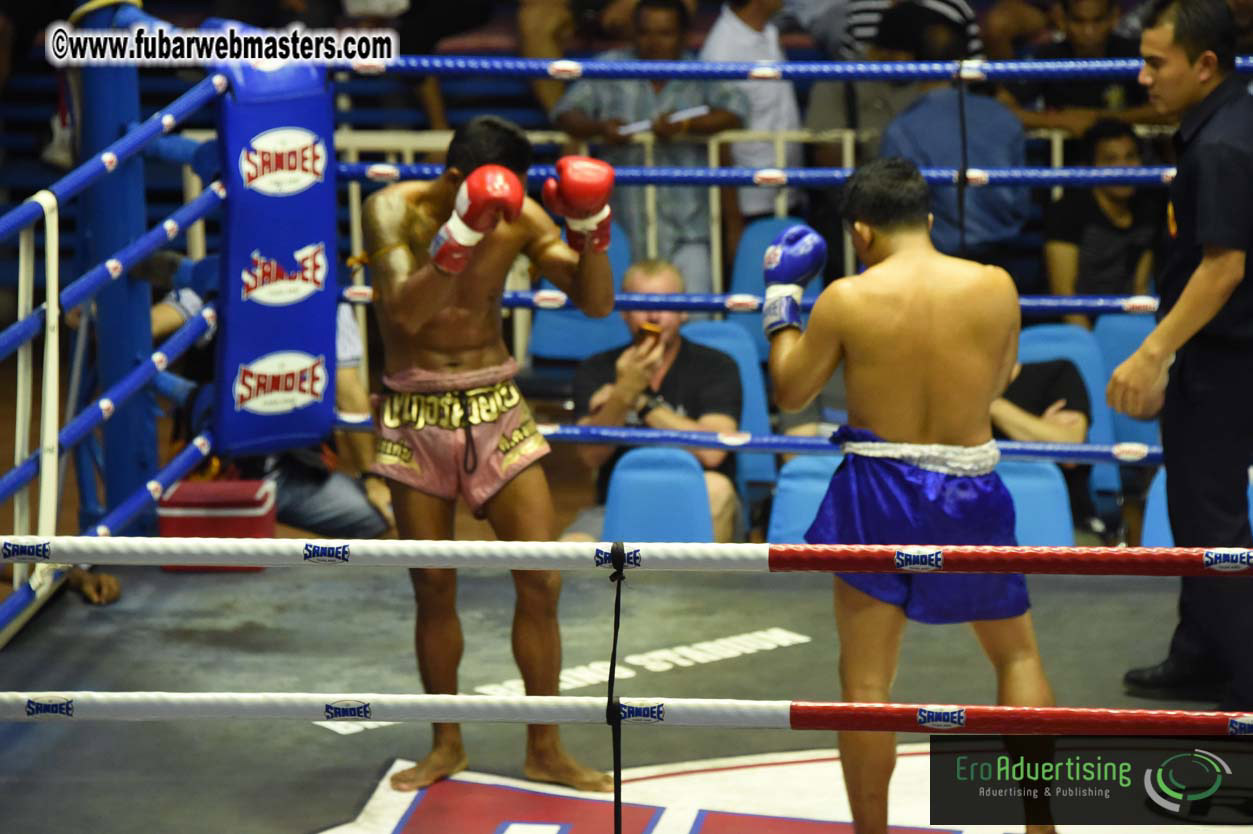 Muay Thai Boxing