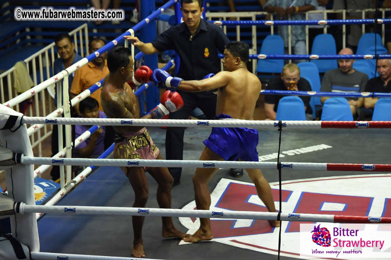 Muay Thai Boxing