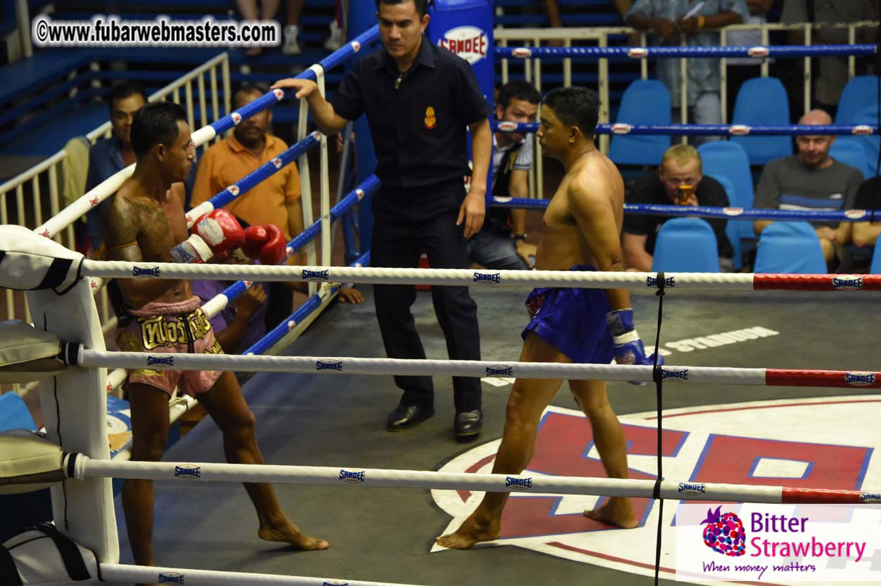 Muay Thai Boxing