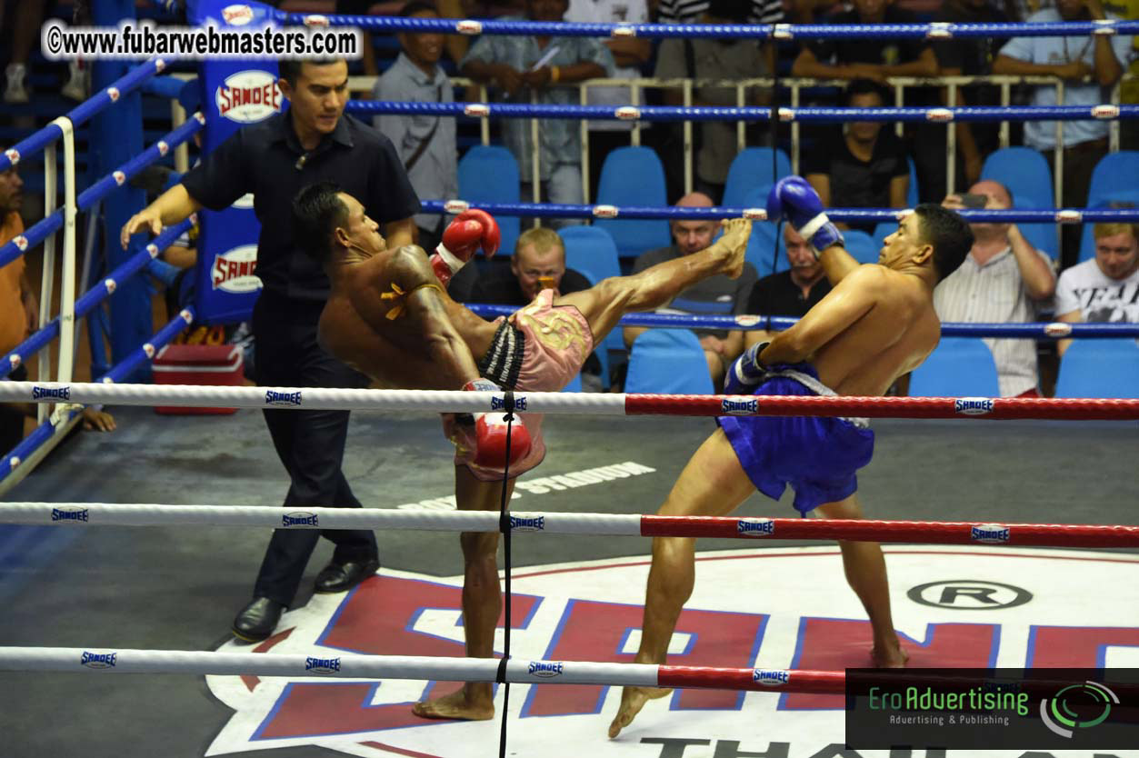 Muay Thai Boxing