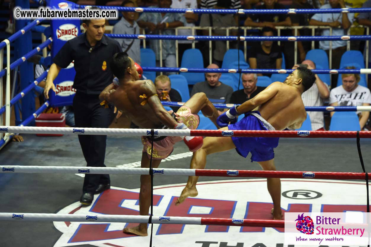 Muay Thai Boxing