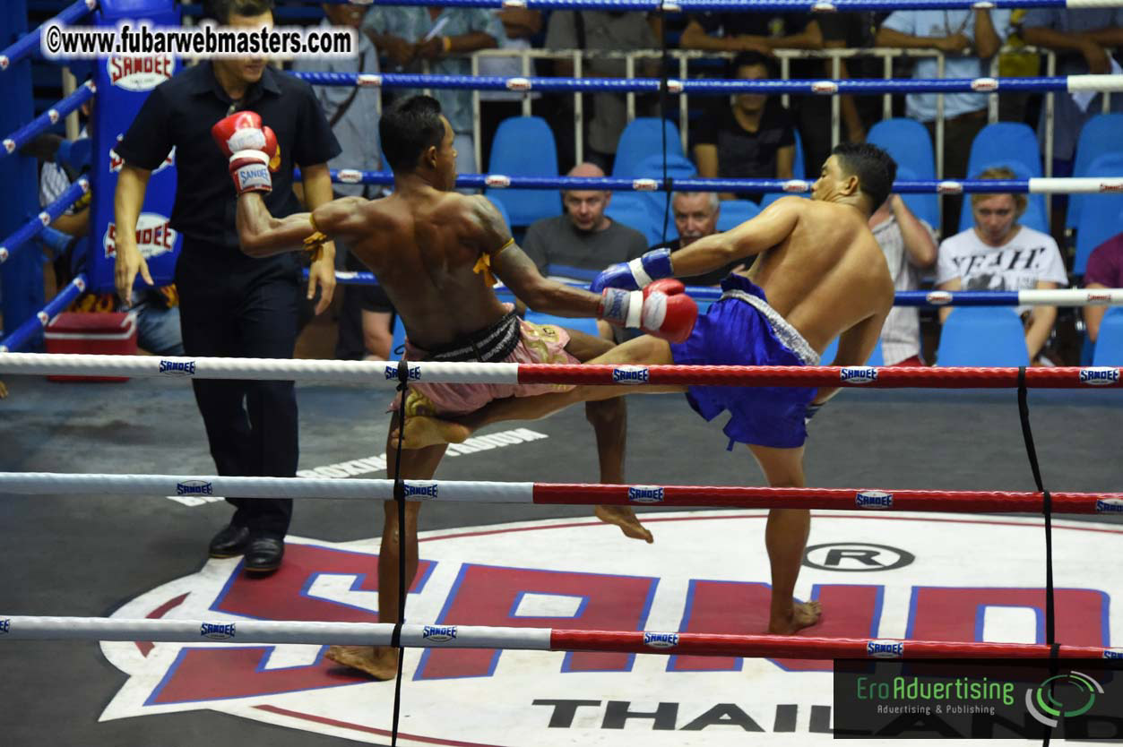 Muay Thai Boxing